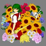  ascot breasts chrysanthemum closed_umbrella daisy flower green_hair grey_background highres kazami_yuuka large_breasts lily_(flower) lily_of_the_valley nanaco parasol peony_(flower) plaid plaid_skirt plaid_vest red_eyes skirt skirt_set smile solo sunflower touhou umbrella vest 