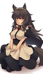  animal_ears karimiya_chiko kuromiya long_hair original red_eyes solo tail 