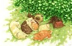  bag bag_removed bear bow bowtie closed_eyes commentary_request creature day dog from_above grass looking_up lying nature no_humans original petting red_bow red_neckwear shade sleeping sploot st.kuma tree under_tree 