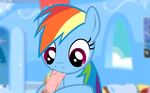  2015 animated bestiality disembodied_penis duo equine erection fellatio female feral friendship_is_magic hair hooftastic human human_on_feral humanoid_penis interspecies male male/female mammal multicolored_hair my_little_pony oral pegasus penis rainbow_dash_(mlp) sex wings 