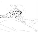  balls cheetah cub feline fellatio lion male male/male mammal mike_sherman oral penis sex young 