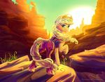  2015 applejack_(mlp) blonde_hair blush boots clothing cutie_mark desert earth_pony equine female feral flower freckles friendship_is_magic fur green_eyes hair hat horse landscape looking_at_viewer mammal my_little_pony outside plant pony smile solo sunset viwrastupr 