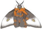  4_arms antennae anthro arthropod bedroom_eyes black_fur blush female fur half-closed_eyes insect moth multi_limb multiple_arms neck_tuft nude orange_fur plain_background smile solo source_request tuft unknown_artist white_background wings yellow_eyes 