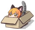 :3 animal_ears bad_id bad_pixiv_id box cardboard_box cat_ears cat_tail chibi hoshizora_rin in_box in_container love_live! love_live!_school_idol_project lowres ng_(kimjae737) orange_hair short_hair solo tail yellow_eyes 