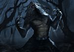  abs anthro canine claws clothing fangs forest fur grey_fur growth male mammal muscles night nipples open_mouth pants pecs rage solo toned torn_clothing transformation tree unknown_artist were werewolf 