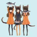  3girl 3girls animal_ears brown_hair fish limo multiple_girls tail 