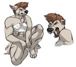  abs bandage black_nose brown_hair canine fangs female hair jinash mammal muscles muscular_female open_mouth plain_background solo white_background wolf 