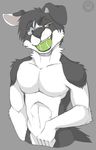  anthro canine dog fur heterochromia husky male mammal muscles solo spazzyhusky tennis_ball 