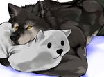  anthro biceps big_muscles canine clothed clothing comfortable cute feral fur grey_fur half-dressed looking_at_viewer lying male mammal muscles pillow solo toned topless wbcat were werewolf wolf 