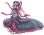  black_sclera dunceneygak frown grey_skin highres insect_girl looking_at_viewer millipede monster_girl multiple_arms original personification pink_eyes pink_hair solo 