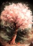  artist_name brown_hair cherry_blossoms hakama haori highres japanese_clothes male_focus noeyebrow_(mauve) original rope scenery shimenawa solo tree 