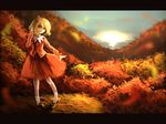  aki_shizuha autumn bad_id bad_pixiv_id banned_artist blonde_hair leaf letterboxed paseri red_eyes solo touhou 