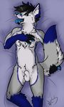  anthro black_hair blue_eyes blue_fur canine coyote cum cum_on_face darkfawks fox foyote fur grey_fur grin hair hand_on_chest holding_tail hybrid mammal ni3ls pawpads paws piercing sheath tongue tongue_out 