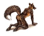  2015 all_fours anthro anus balls brown_fur butt canine fox fur kenket licking looking_back male mammal naughty_face nude open_mouth orange_eyes raised_tail solo tongue tongue_out white_fur 