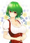 adapted_costume breasts cleavage collarbone dirndl floral_background german_clothes green_hair hands_clasped highres interlocked_fingers kazami_yuuka large_breasts looking_at_viewer looking_to_the_side mattari_yufi own_hands_together plaid red_eyes short_hair short_sleeves smile solo touhou underbust upper_body 
