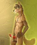  abs anthro balls biceps blue_eyes canine chmunk fur grin jackal knot male mammal muscles nude pecs penis sheath solo tuft vallhund 