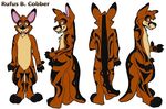  blue_eyes cobber feral invalid_tag kangaroo mammal marsupial model_sheet rufus_b._bobber talutie tribal 