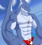  abs anthro areola biceps bulge clothed clothing dong2fm fin fish half-closed_eyes half-dressed lifeguard looking_at_viewer male manly marine muscles navel nipples outside pecs sea shark smile solo speedo standing swimsuit thick_thighs water 