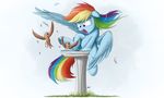  2015 avian bird bird_bath cute equine female feral friendship_is_magic mammal my_little_pony ncmares pegasus rainbow_dash_(mlp) water wings 