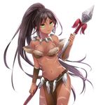  brown_hair dark_skin fang_necklace forehead_jewel green_eyes hamamo league_of_legends long_hair looking_at_viewer midriff navel nidalee polearm ponytail solo spear tattoo tribal_tattoo weapon 