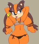  animal_ears animal_nose armpits arms big-e6 cowboy_shot face flat_chest furry hair mouth necklace nose simple_background solo sonic_the_hedgehog stomach thick_thighs thigh_gap thighs 