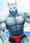  2015 abs beach biceps blue_eyes canine clothing male mammal mumu202 muscles nipples one_eye_closed pecs sea seaside summer swimsuit tattoo water wink wolf 