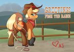  2014 anus applejack_(mlp) butt digital_media_(artwork) equine female feral friendship_is_magic horse mammal my_little_pony pony pussy ratofdrawn solo 