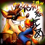  1boy apple crash_bandicoot food fruit furry highres pants shoes sunglasses text thick_eyebrows topless 
