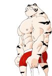  2018 5_fingers abs anthro biceps clothing digital_media_(artwork) feline fur kemono male mammal muscular muscular_male nipples pantherine solo syukapong tiger 