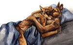  2015 anthro bed bed_sheet brown_fur canine claws coyote cuddling dog duo eyes_closed fur german_shepherd kenket male male/male mammal nude pillow plain_background sleeping white_background 