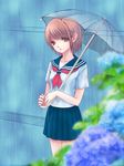  bangs blue_sailor_collar blue_skirt blurry brown_eyes brown_hair collarbone cowboy_shot depth_of_field eyebrows_visible_through_hair flower holding holding_umbrella hydrangea looking_at_viewer neckerchief nekota_chihiro original plant pleated_skirt rain red_neckwear sailor_collar school_uniform serafuku short_hair short_sleeves skirt solo standing transparent transparent_umbrella umbrella water_drop 