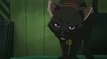 bell cat darker_than_black mao_(darker_than_black) no_humans purple_eyes screencap 