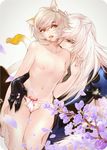  animal_ears black_gloves blonde_hair blue_eyes cat_ears cat_tail flower gloves half-closed_eyes hand_in_panties konoe lamento long_hair male_focus multiple_boys navel nipples open_mouth orange_eyes panties rai_(lamento) tail tears twinklelinda90625 underwear underwear_only white_hair yaoi 