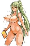  blush breasts censored green_hair groin holding lactation large_breasts long_hair looking_at_viewer navel nipples notebook nude original perky_breasts ponytail pubic_hair pussy_juice sachito simple_background solo sumi-chan_(sachito) sweat very_long_hair white_background yellow_eyes 