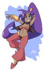  bad_id bad_tumblr_id bandeau bigdead93 blue_eyes breasts choker dark_skin earrings eyebrows forehead_jewel full_body harem_pants highres hoop_earrings jewelry long_hair medium_breasts pants pointy_ears pointy_shoes ponytail purple_hair shantae_(character) shantae_(series) shantae_and_the_pirate's_curse shoes smile solo thick_eyebrows tiara very_long_hair vest 
