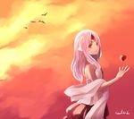 apple apple_(elsword) artist_name bad_id bad_pixiv_id bird code:_empress_(elsword) elsword eve_(elsword) food forehead_jewel fruit long_hair no_nose object_namesake pink_hair red_eyes red_skirt shawl signature skirt sky solo sunset swd3e2 