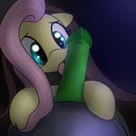  2015 bound collar datte-before-dawn duo equine faceless_male female feral fluttershy_(mlp) friendship_is_magic green_penis hair horse licking long_hair male male/female mammal my_little_pony open_mouth oral penis penis_lick pink_hair pony precum saliva sex solo_focus tongue tongue_out vein 