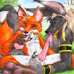  anthro anubian_jackal anubis ball_fondling balls canine cum cum_in_mouth cum_inside deity duo egyptian erection fox fur hindpaw jackal male male/male mammal nude oral outside paws penis sex tongue tongue_out zen 