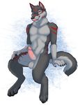 2015 anthro balls canine claws erection fur happy humanoid_penis ifus looking_at_viewer male mammal muscles nude pecs penis red_eyes sitting smile solo tongue tongue_out wolf 