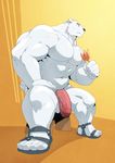  abs anthro bear biceps big_muscles clothed clothing half-dressed kokuhane male mammal muscles paws pecs penis polar_bear solo topless uncut 