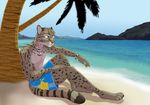  abs anthro beach biceps blue_eyes clothed clothing fcsimba feline fruit half-dressed island levin_rhekunda male mammal muscles necklace palm_tree paopu paws pecs pooka sea seaside shell solo summer swimsuit topless tree tropical water wristband 