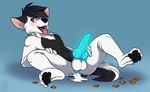  anus balls canine cum cum_in_ass cum_inside dog erection fangs husky knot male mammal muzz nude open_mouth pawpads paws penis solo tongue tongue_out 