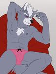  bulge canine clothing crossdressing male mammal muscles nintendo panties pecs seductivefeline solo star_fox underwear video_games wolf wolf_o&#039;donnell 