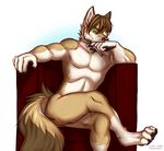  2015 anthro butterfly_knife canine claws coyote flynx-flink fur green_eyes hair looking_at_viewer male mammal mojavecoyote nude pinup pose smile solo 