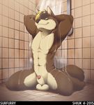  abs absurd_res anthro armpits balls canine fur hair hi_res looking_at_viewer male mammal manly muscles navel on_floor pecs penis sheath shiuk shower sitting smile solo spread_legs spreading water wet wolf 