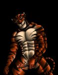  dreamworks feline madagascar male mammal penis tiger vitaly_the_tiger 