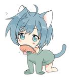  :3 ? ahoge animal_ears bad_id bad_pixiv_id blue_eyes blue_hair blush cardfight!!_vanguard cat_ears cat_tail chawanmushi_(ebikamaboko) closed_eyes food food_in_mouth full_body lowres male_focus meat mouth_hold naked_shirt sendou_aichi shirt solo tail 