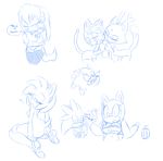  amy_rose blaze_the_cat hearlesssoul julie-su marine_the_raccoon polly_esther samurai_pizza_cats silver_the_hedgehog sonic_(series) sonic_the_hedgehog sonic_the_werehog 