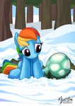  2015 equine female feral friendship_is_magic male mammal my_little_pony mysticalpha pegasus rainbow_dash_(mlp) reptile scalie snow tank_(mlp) turtle wings 