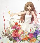  bangs blood blunt_bangs braid brown_eyes brown_hair calla_lily carnation chrysanthemum daisy deemo dress flower girl_(deemo) iris_(flower) jikkentai_(zol8529) lily_(flower) looking_at_viewer md5_mismatch nine_point_eight_(deemo) outstretched_arms peony_(flower) petals reaching rose side_braid skull sleeveless smile solo sundress tiger_lily white_background white_dress yellow_flower yellow_rose 